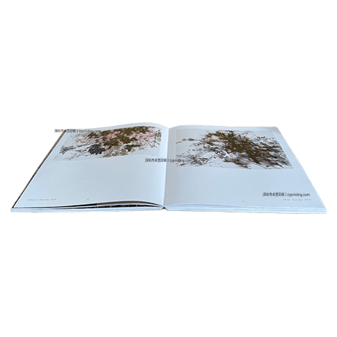 金色木垒新疆油画册