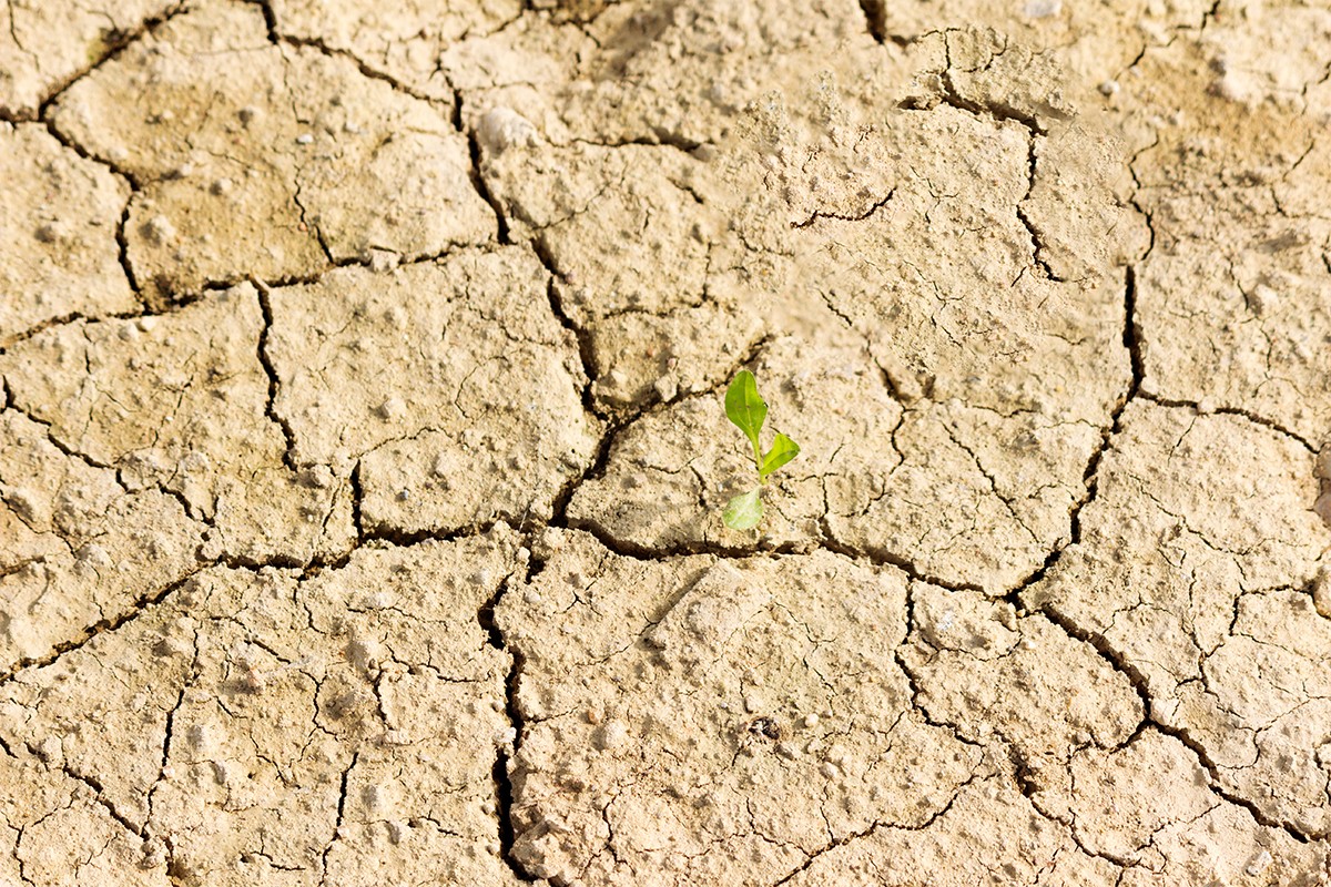 1640169903759827.jpg